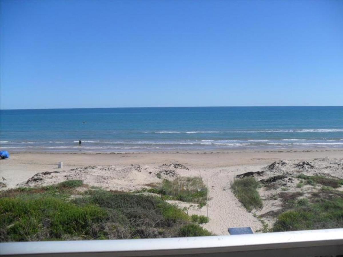 La Internacional Condos O301 South Padre Island Eksteriør bilde